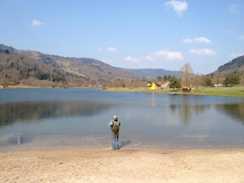 Chalet De Grettery Saulxures-sur-Moselotte Exteriér fotografie