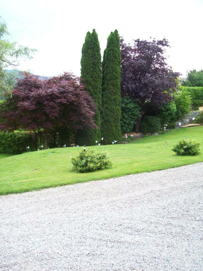 Chalet De Grettery Saulxures-sur-Moselotte Exteriér fotografie